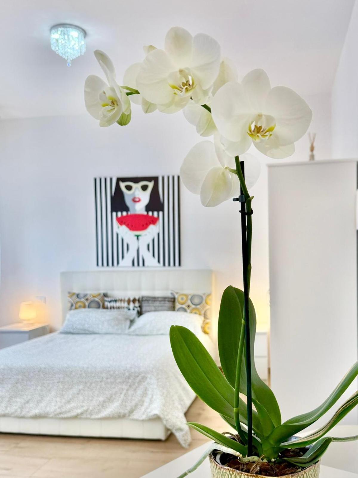 Apartmán Travel Fiera Boloňa Exteriér fotografie